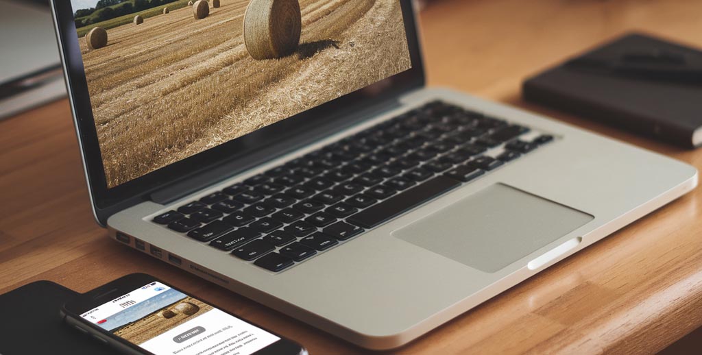 Red Deer Alberta Web Design Company